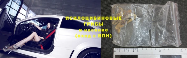 стаф Кодинск