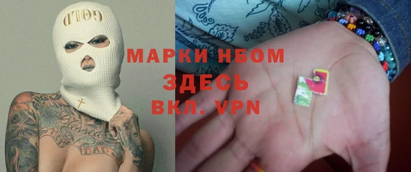 стаф Кодинск