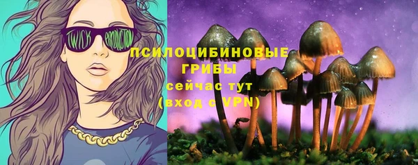 MDMA Козловка