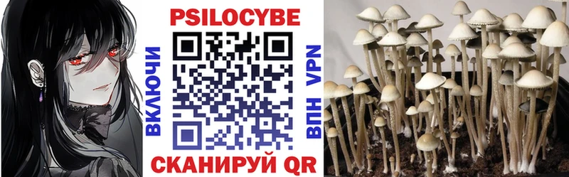 магазин продажи   Морозовск  Псилоцибиновые грибы Magic Shrooms 