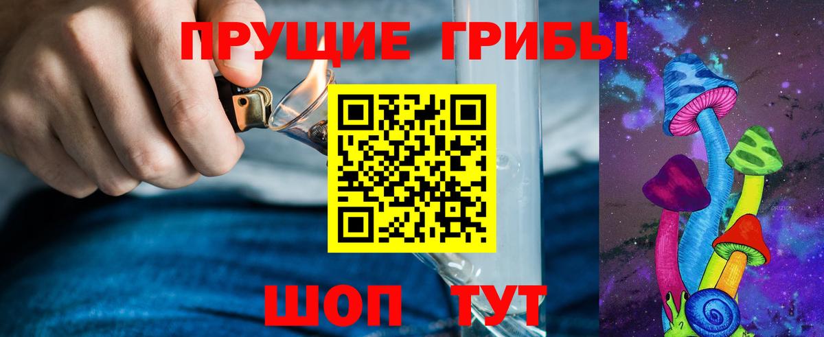 Морозовск  Псилоцибиновые грибы Psilocybe  Вход с VPN  Галлюциногенные грибы мухоморы 